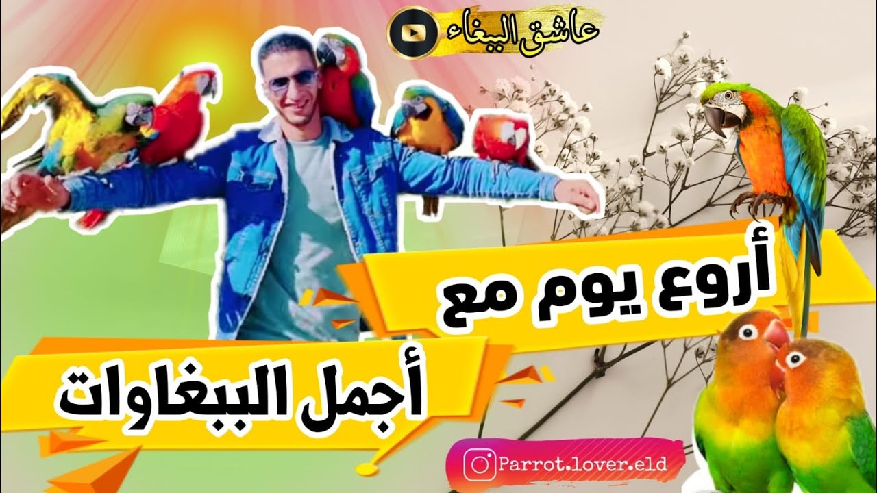 ⛔️كلام في الصميم🔥✅️