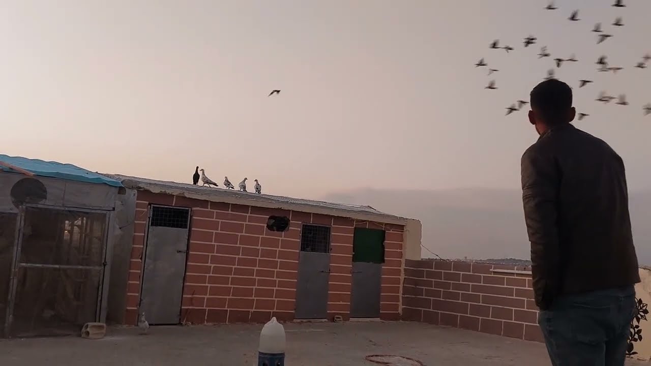 الكوووم صيد كوووووم تفجير طاره طااره