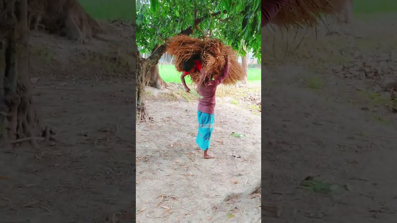 পিছনে দেখুন পিচ্চি কি করে 