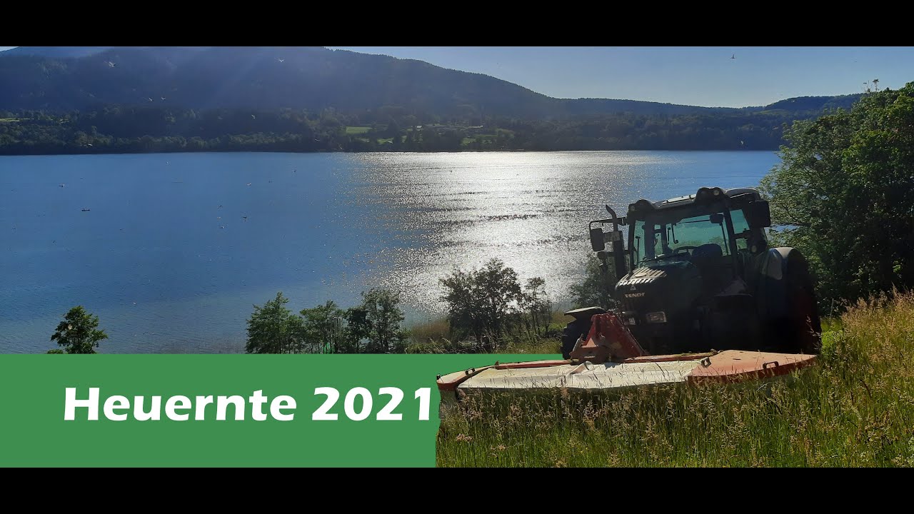 Heuernte 2021 Fendt 200 Vario/ Reform Metrac 3003S