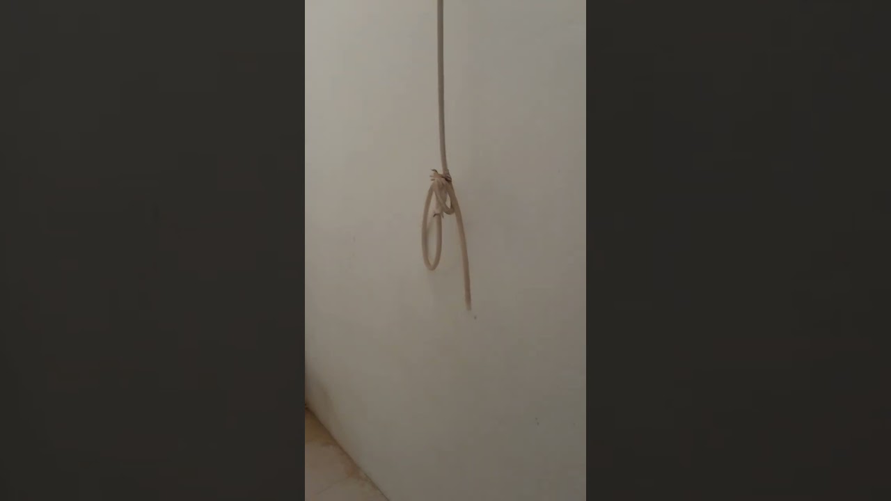 السلام عليكم بيت للبيع في اربيل ماموستيان ٢٠٠ متر