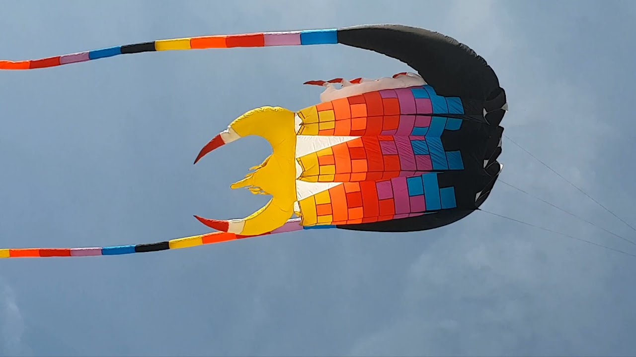 World Trilobite Kite Day 2024 - Tribute to a Wonderful Kite