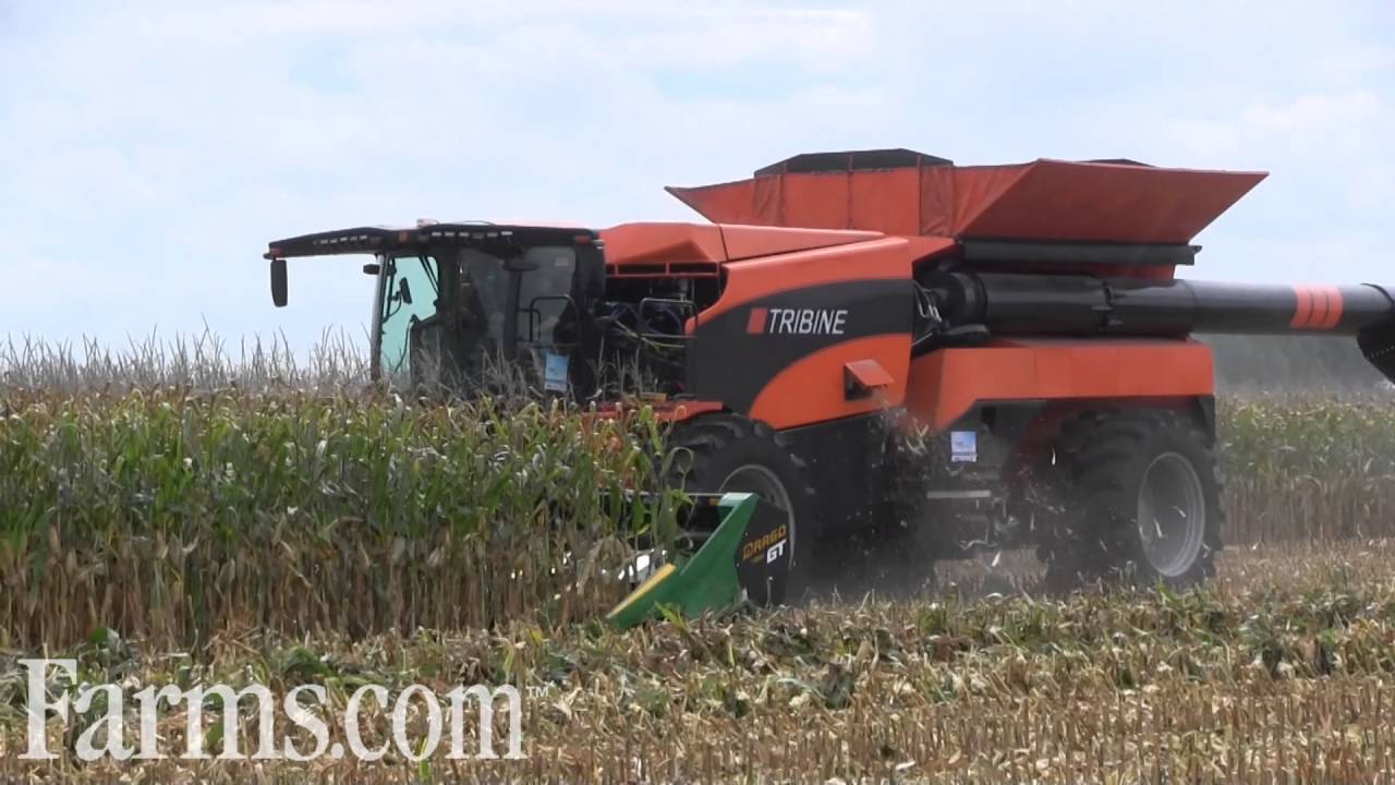 New TRIBINE Harvesting Corn At 2016 Farm Progress Show Field Demonstrations