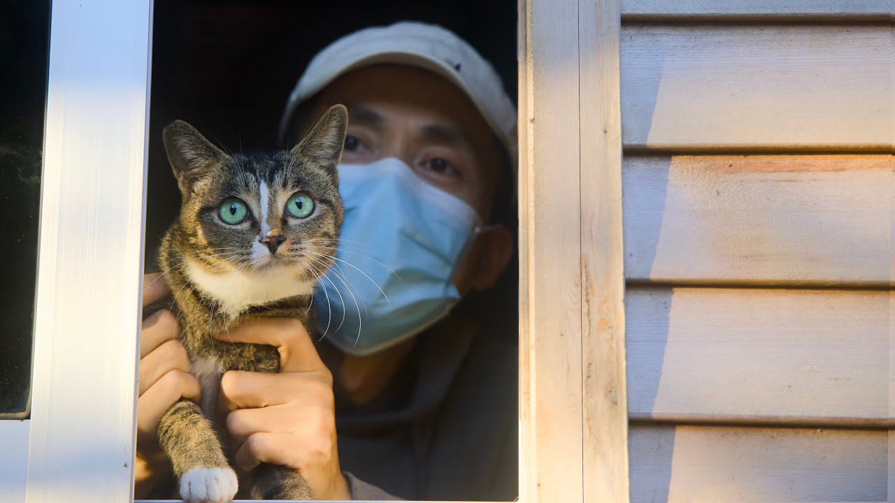 看到失蹤的貓貓突然出現，差點哭出來：你還活著！｜Xishu&Cats