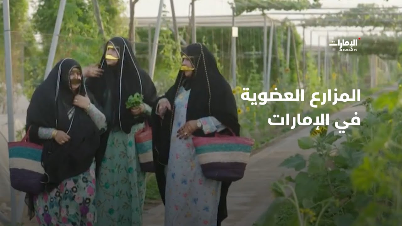 المزارع العضوية في الإمارات، من أجل سلة غذائية صحية وآمنة | برنامج سوالف يدوه