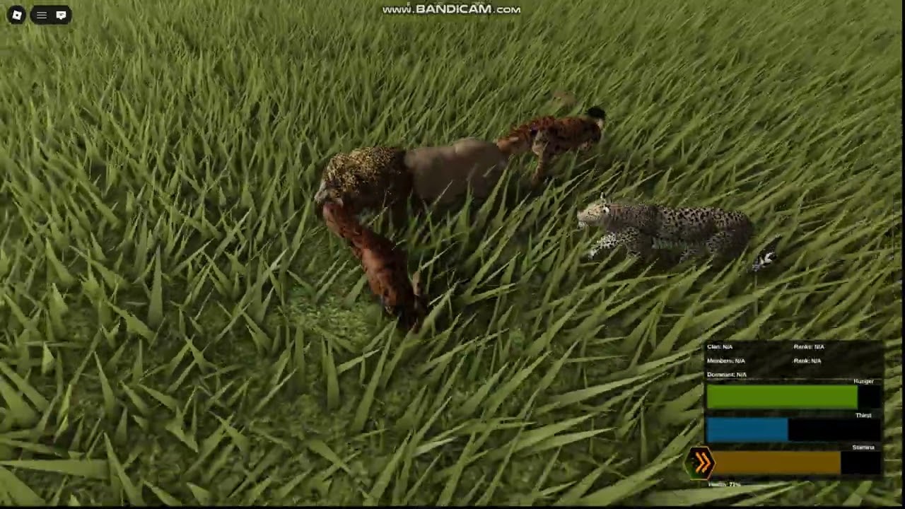 Taking down 3 Lions as 2 Hyenas | Wild Savannah