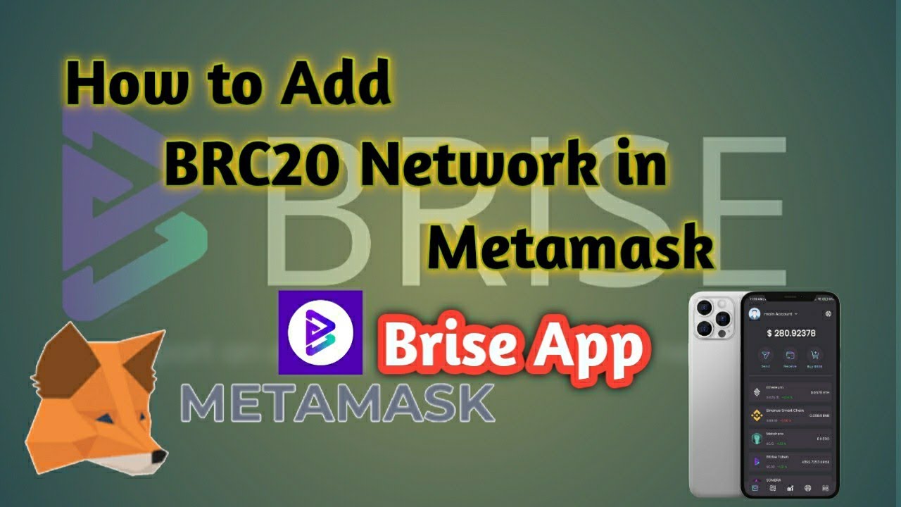 How to add BRC20 Network in Metamask | How to add BRC20 Network | BRC20 Network #brc20 #btc #crypto