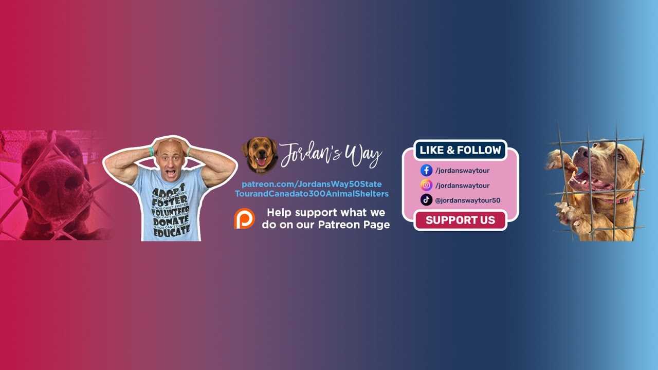 Streaming Live from my 
