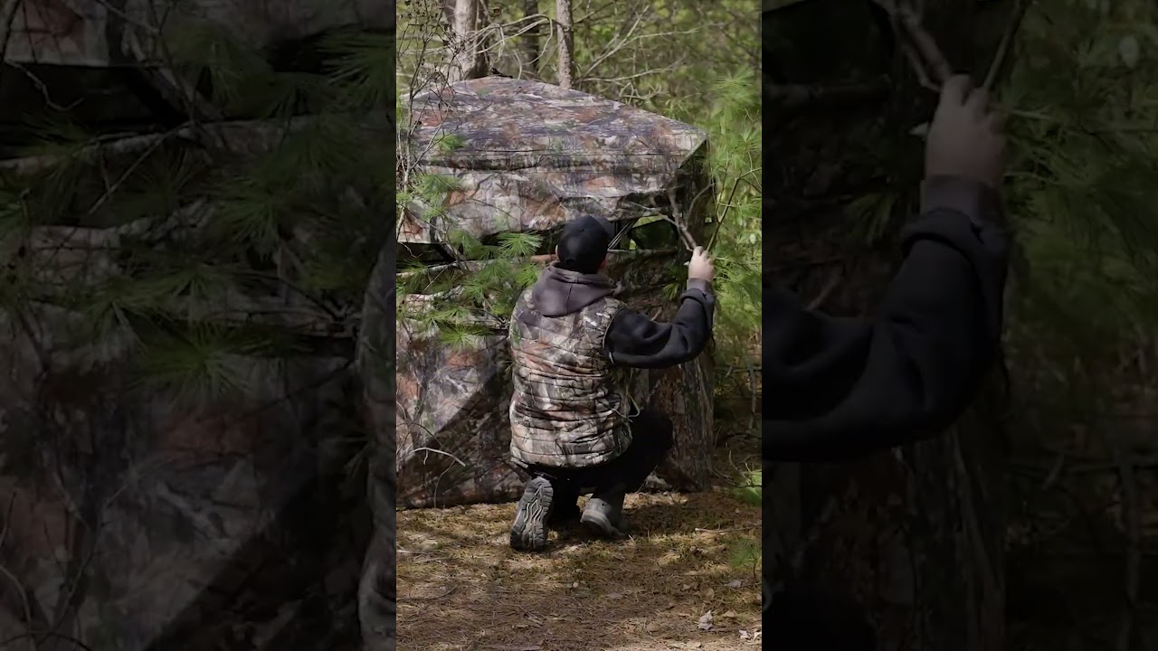 Brushing in Your Ground Blind!!  #hunting #groundblind