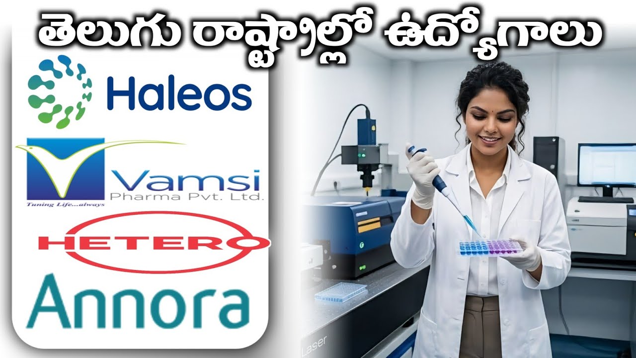 JOBS IN PRIVATE COMPANY | LEARN UPDATE 2026| FREE JOB INFORMATION 
