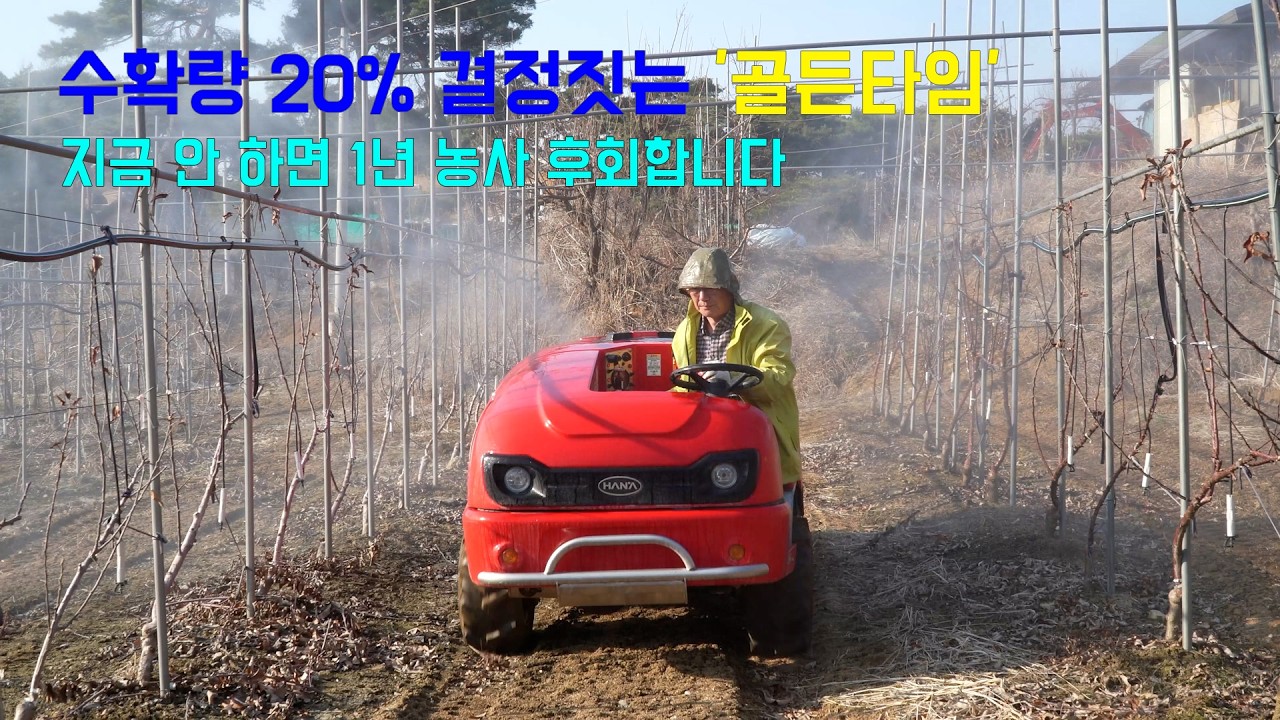 목면시비, 왜 지금 해야 할까요? 초기 수확량을 결정짓는 '한 끗' 차이