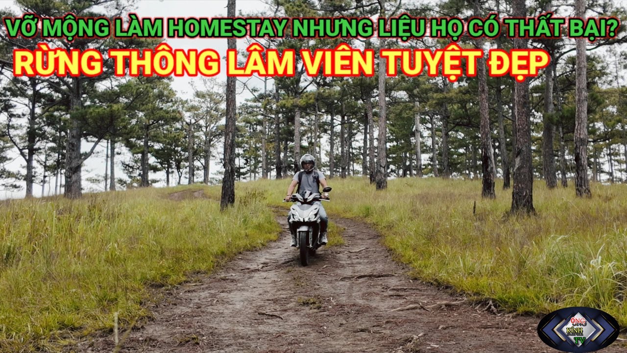 VỠ MỘNG LÀM HOMESTAY NHƯNG LIỆU HỌ CÓ THẤT BẠI KHÔNG? RỪNG THÔNG LÂM VIÊN ĐÀ LẠT