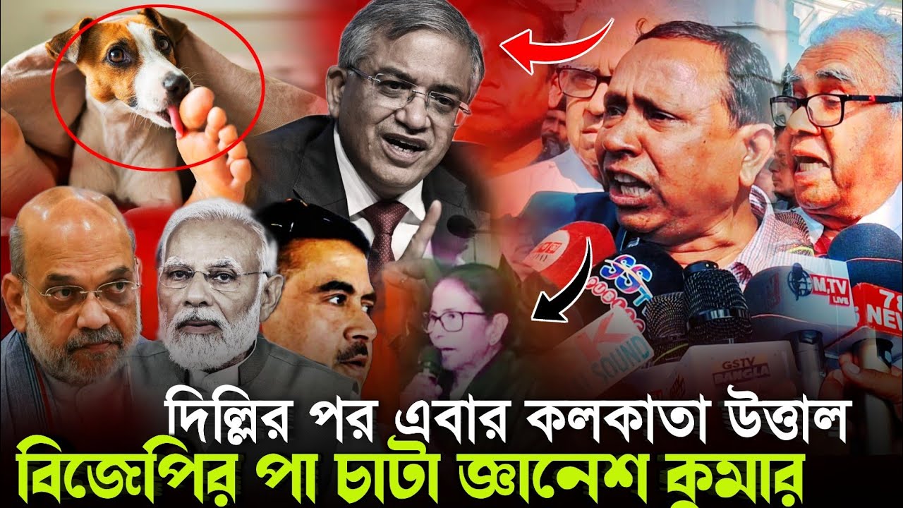 Viral News Kolkata: বিজেপির পা চাটা দালাল জ্ঞানেশ কুমার╏মমতার দিল্লিতে আন্দোলনের পর উত্তাল কলকাতা