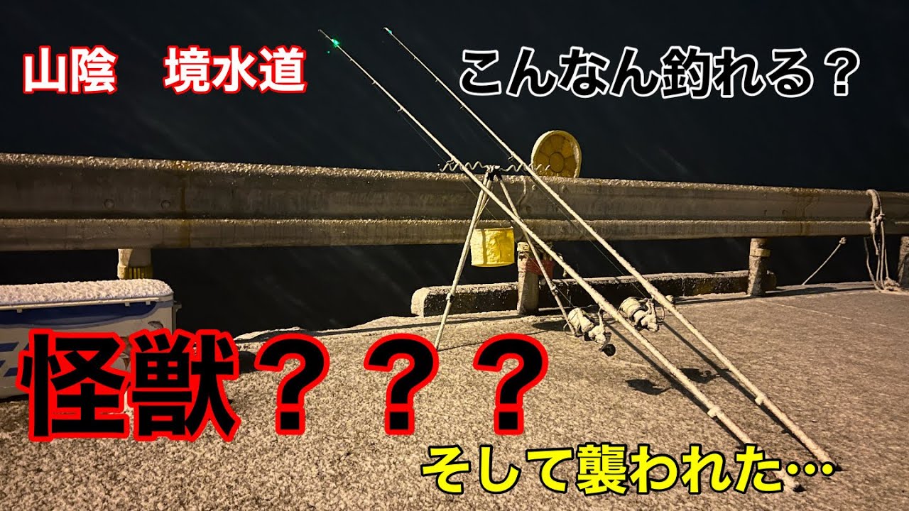夜釣りをしていたらとんでもないのが釣れた…怪獣？そして襲われかけて怖かった