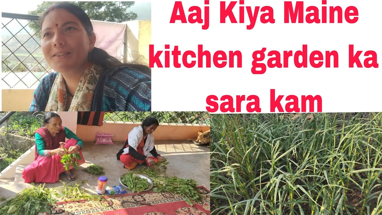 Aaj Kiya Maine kitchen garden ka kam
