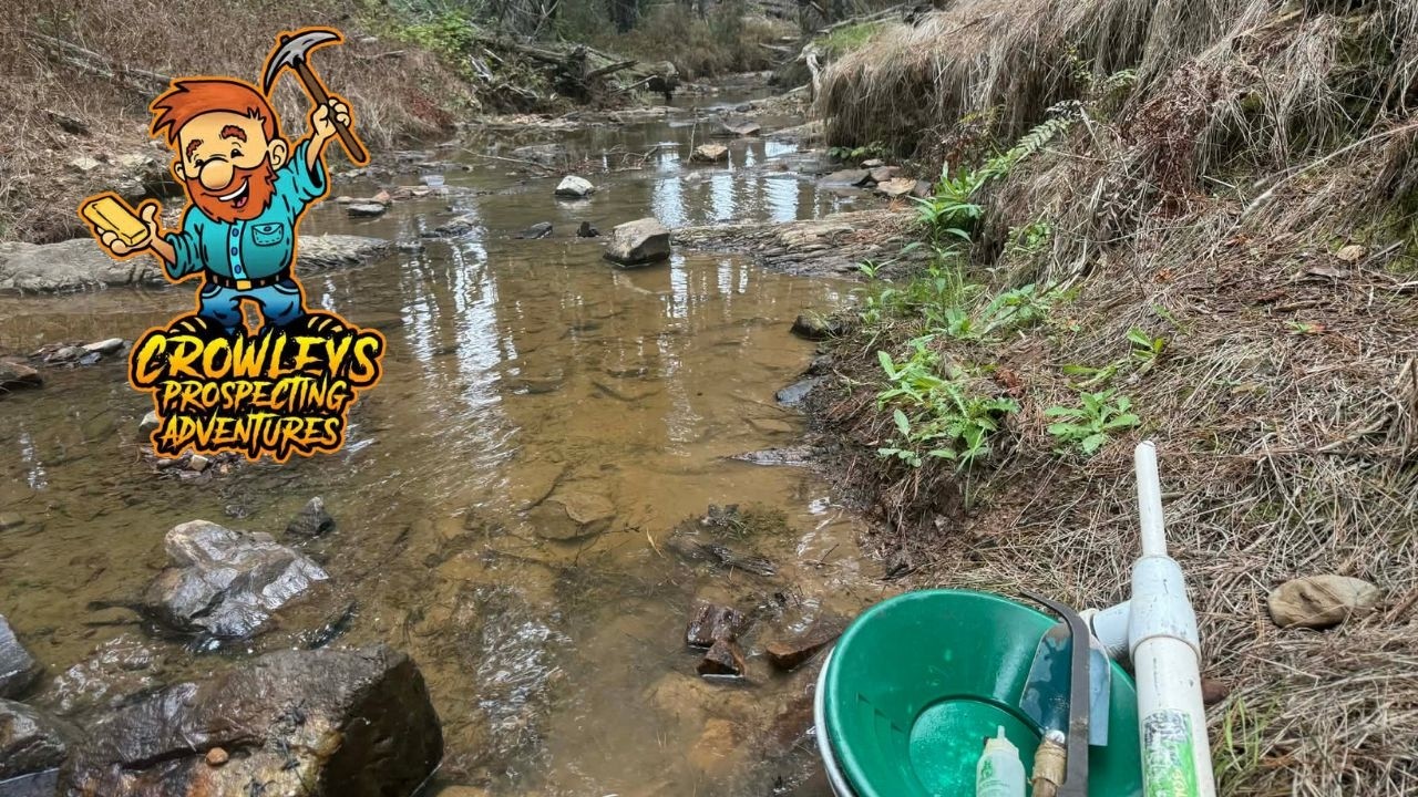 Sunny Corner - Pocket Gold -  Mitchells Creek