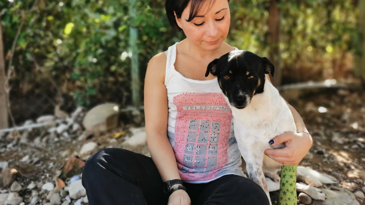 Stray, abandoned animals that found love and shelter under our care.