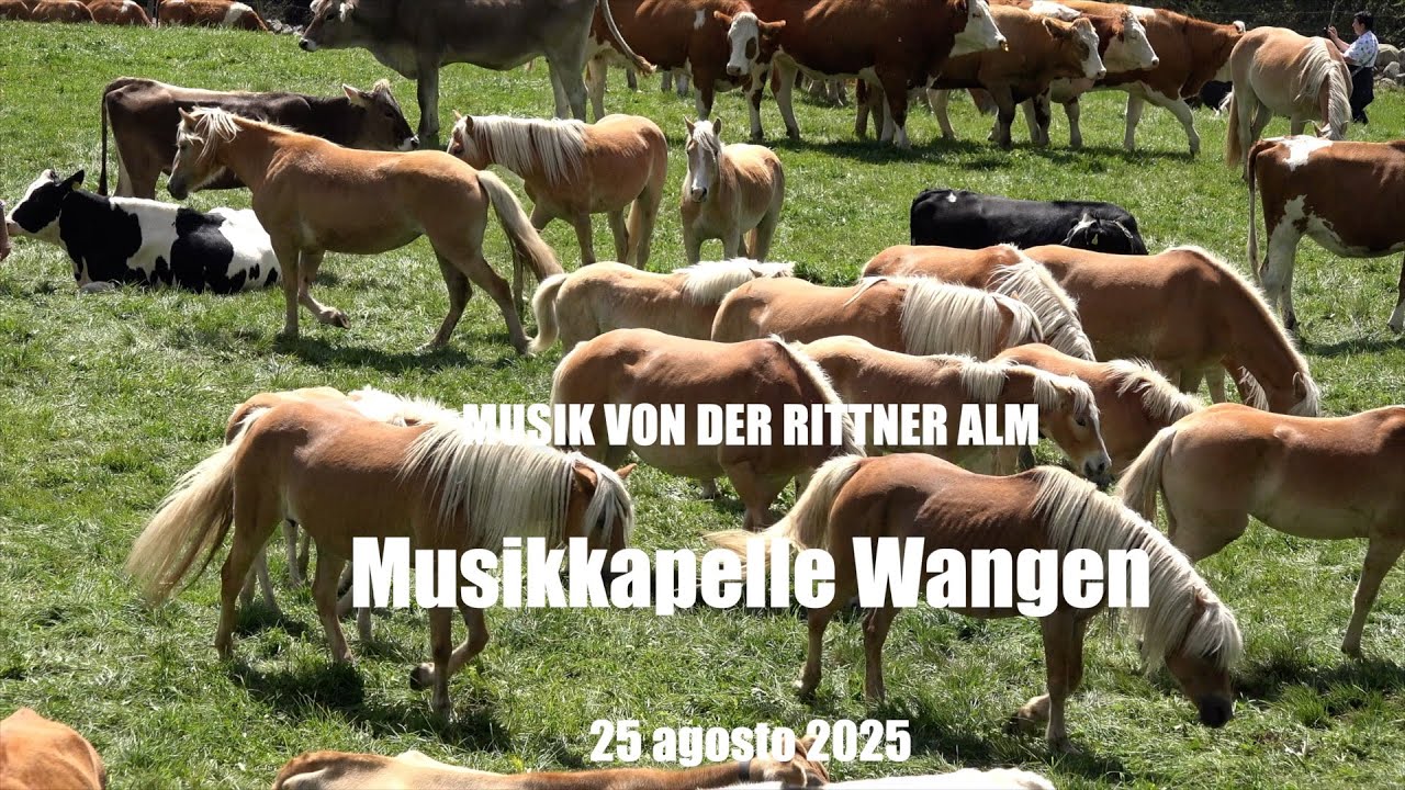 MUSIK VON DER RITTNER ALM - BARTHLMASTAG 2025 - Musikkapelle Wangen