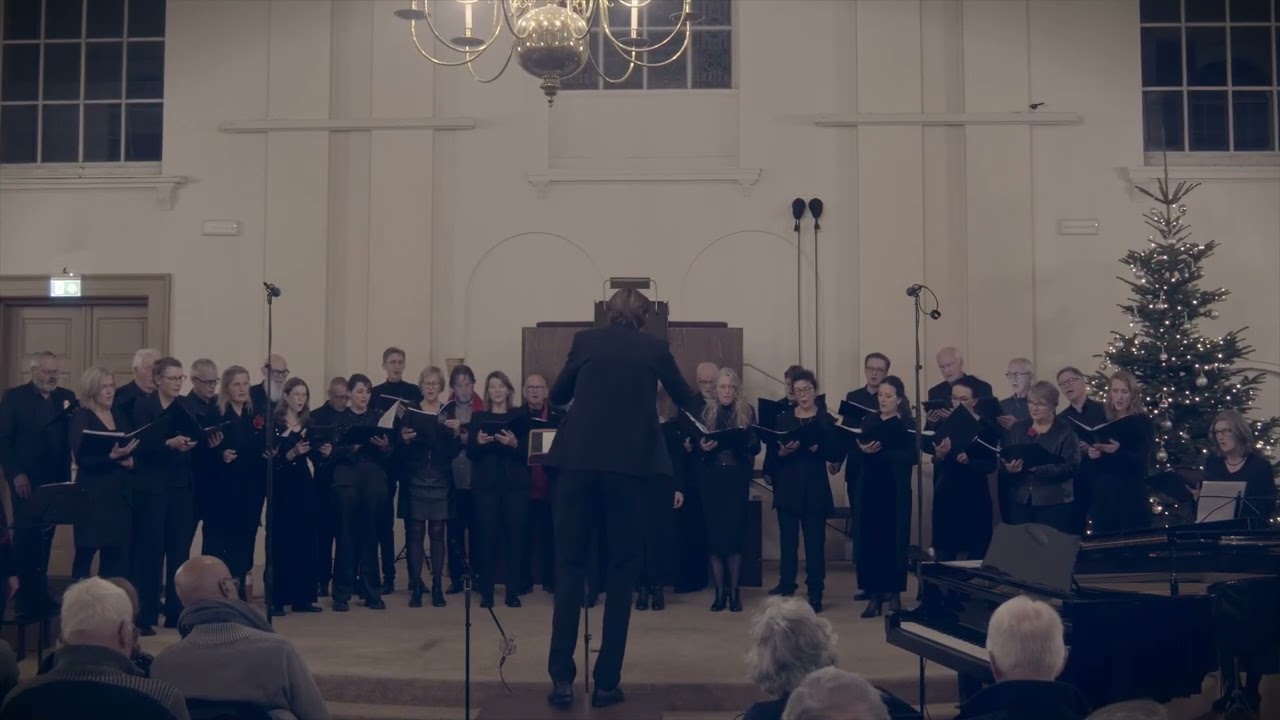Kamerkoor Vida Vocalis promo 2026
