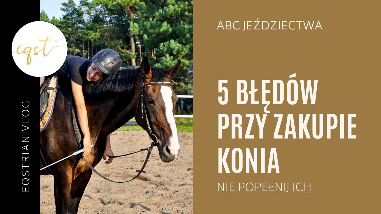 5 BŁĘDÓW PRZY KUPNIE KONIA | Nie popełnij ich!