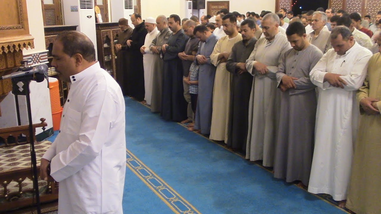 اللاهونى | لَّيْسَ عَلَيْكَ هُدَاهُمْ وَلَٰكِنَّ اللَّهَ يَهْدِي مَن يَشَاءُ ۗ  ... ورش عن نافع
