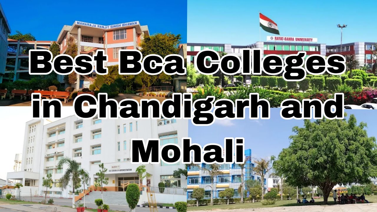 Top 10 Bca Colleges in Mohali and Chandigarh| Best Colleges of Mohali and Chandigarh