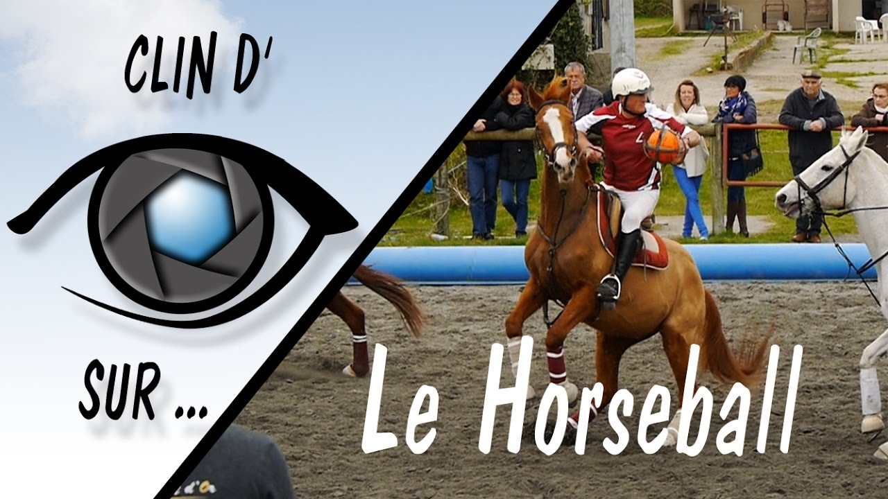 [Clin d'Oeil sur] Le HorseBall - Du Basket sur des chevaux.