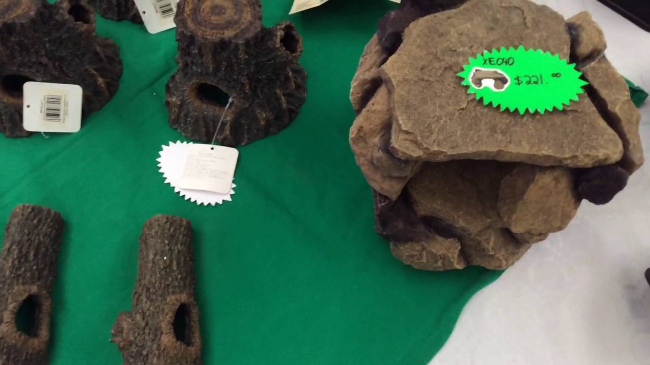 EXPO ANIMALIA MÉXICO. Animalia primavera 2016. MORDIDA DE SERPIENTE DE DANIEL
