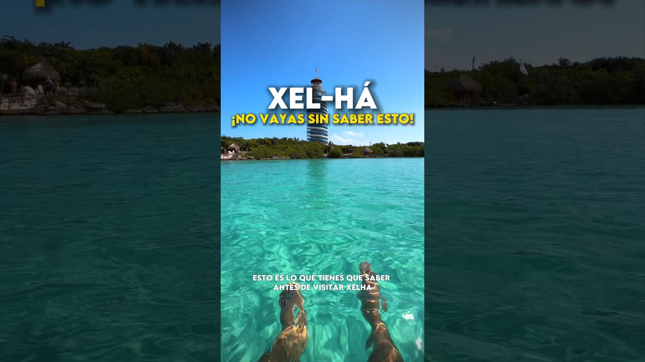 Xelha Park, Lo que debes de saber antes de ir ✅🌊 #tulum #xelha #xelhapark #tulummexico #viajes