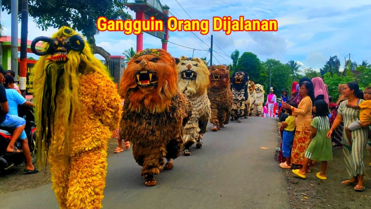 🔴LIVE | Kirab can macanan singo raung cilik di undang acara imtihan gangguin orang dijalanan