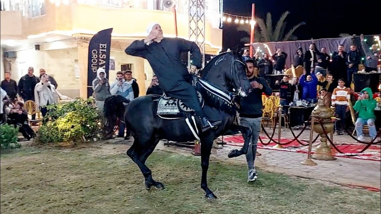 هارلي ابو كمال والمعلم كرم سرحان حفلة زايد الصحراء 2025