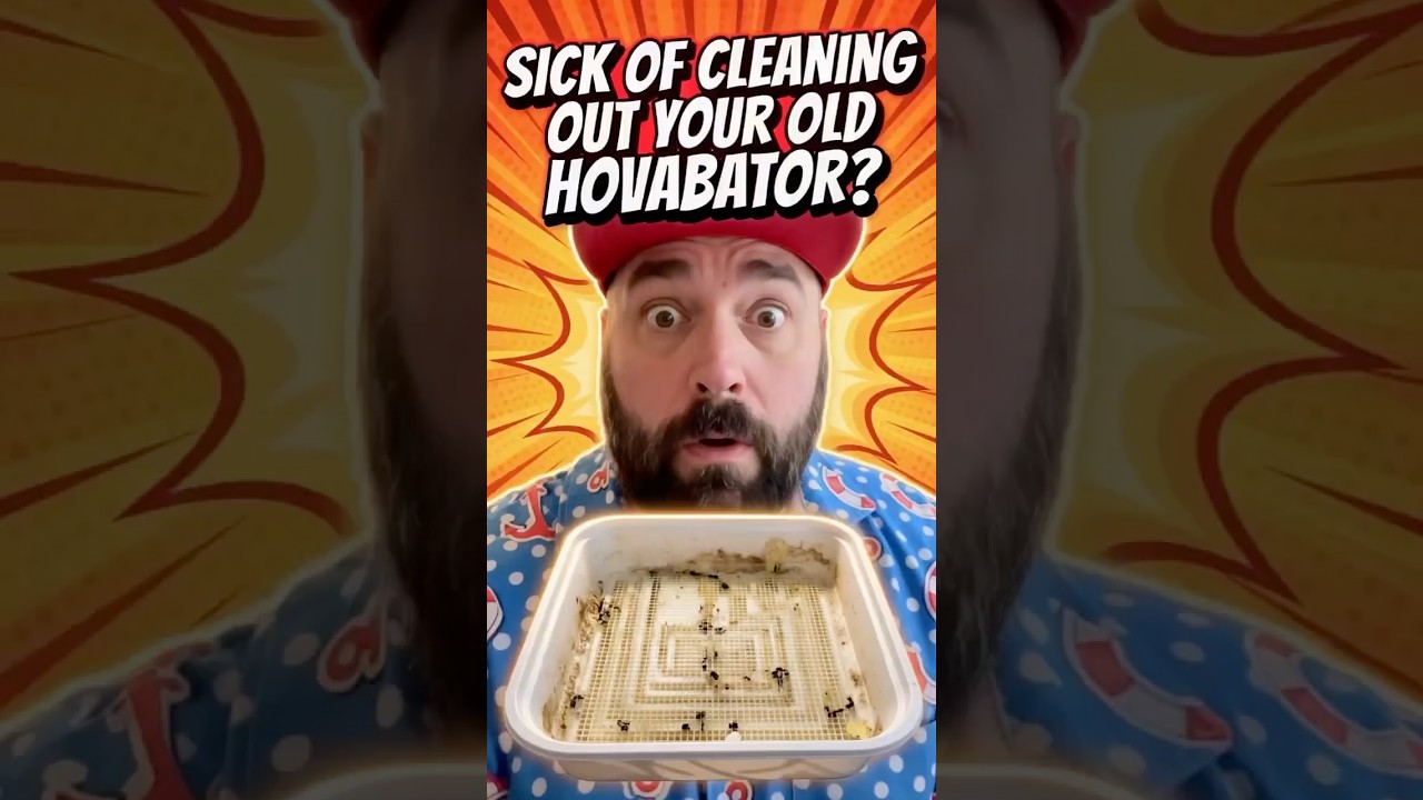 The New 2026 Hovabator? Meet the GQF Chickbator 3200 (No More Styrofoam) #gqf #chickbator