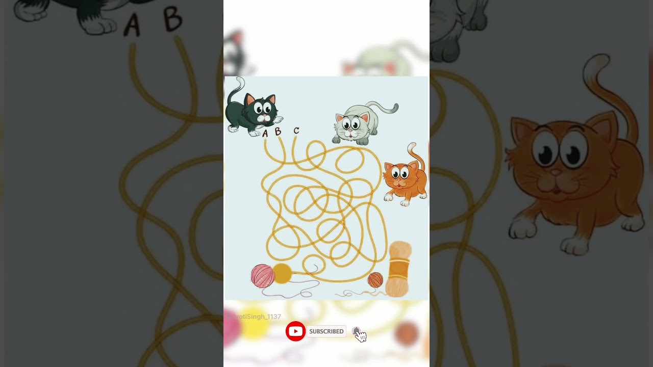 Only 1% Can Trace the Correct Line! (Cat Maze Challenge)