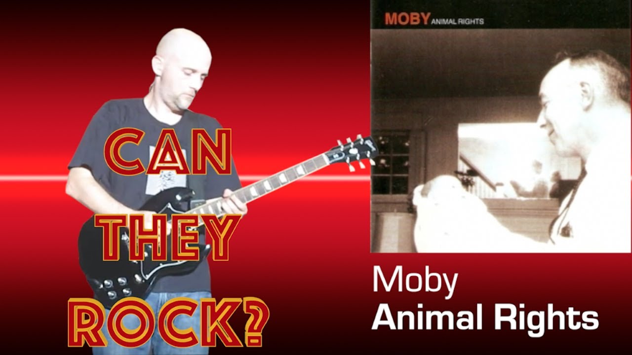 Moby goes hardcore for 'Animal Rights' - Can They Rock?