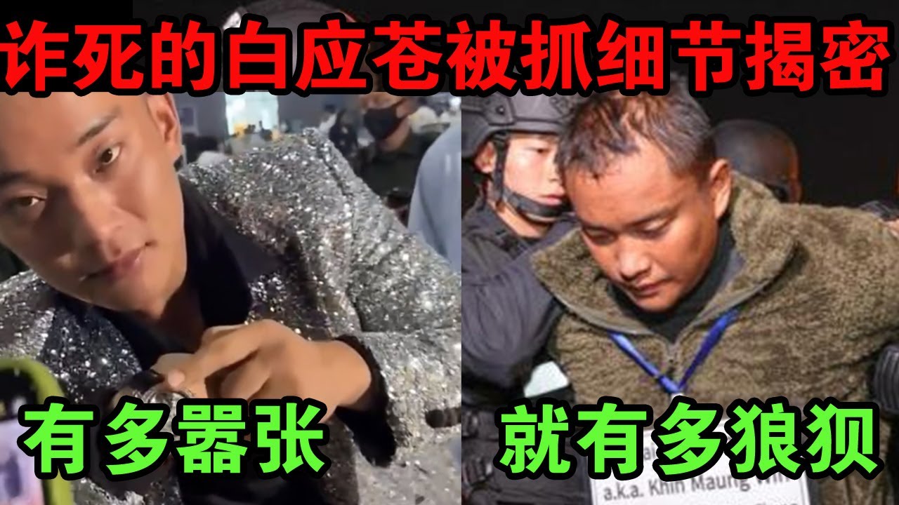 当时多嚣张，现在多狼狈四大家族覆灭大事件梳理。| 中国刑事大案 | 电视剧 | 江湖李白 | X調查 | wayne調查