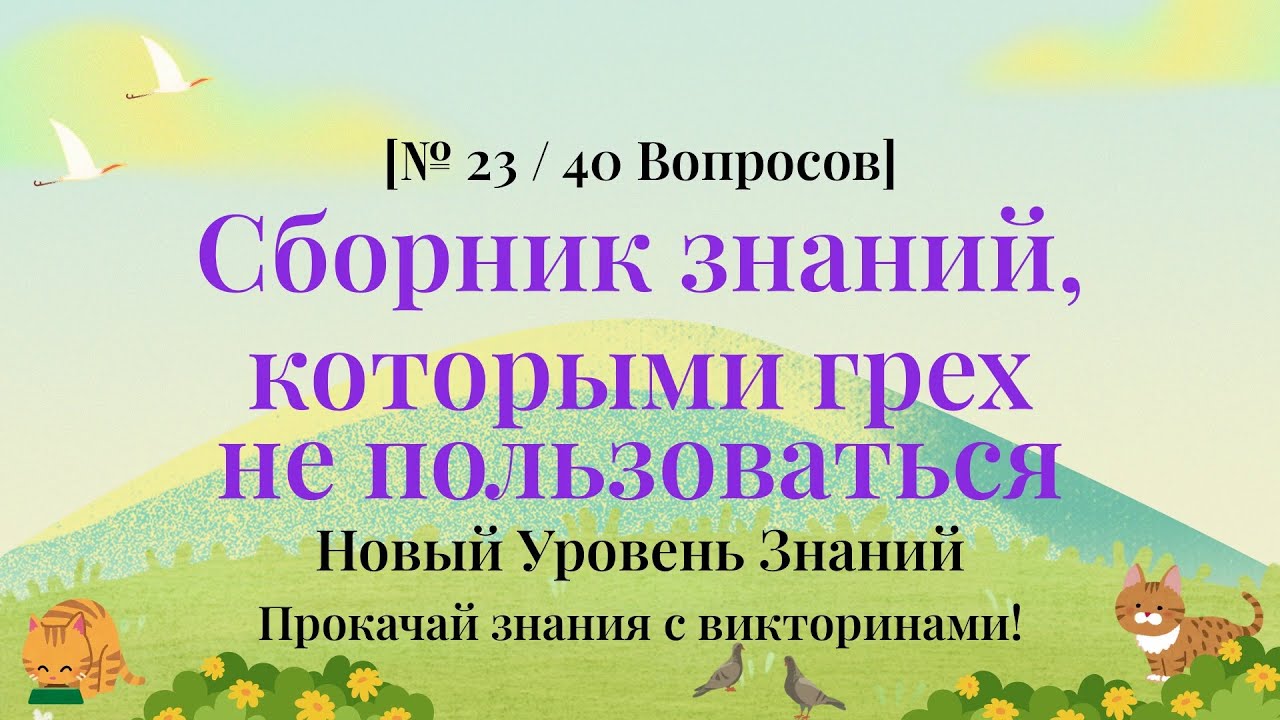 Мозгу тоже нужен променад: прогулка по миру фактов - Викторина по Общим Знаниям Часть 23