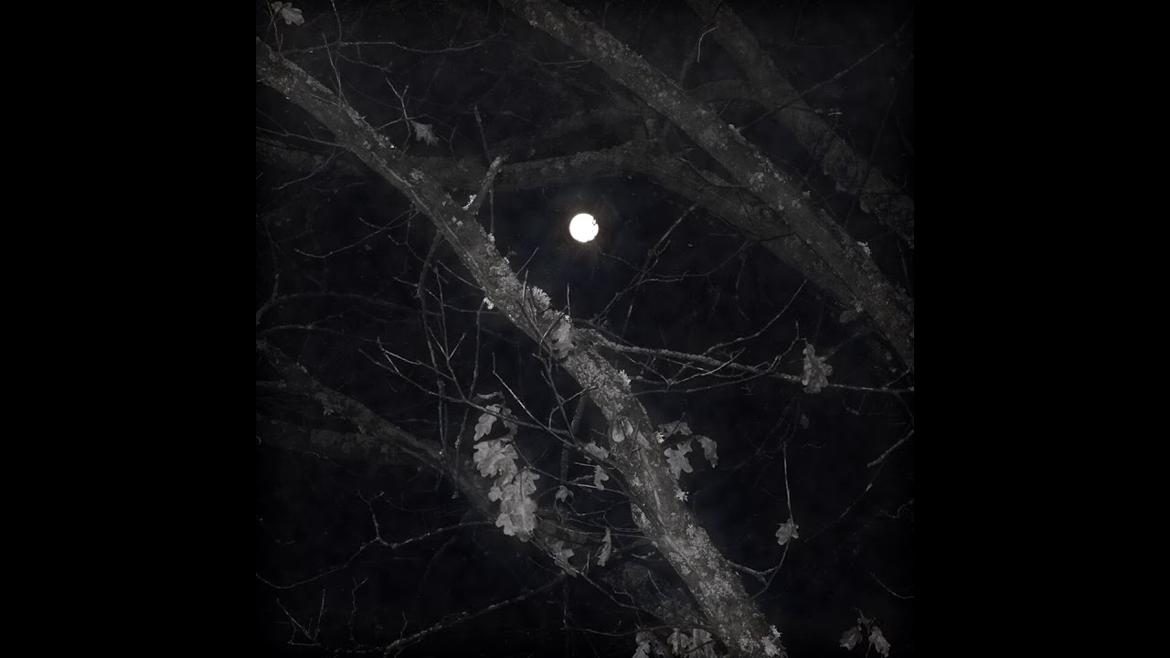 *FREE* WITCH HOUSE TYPE BEAT 