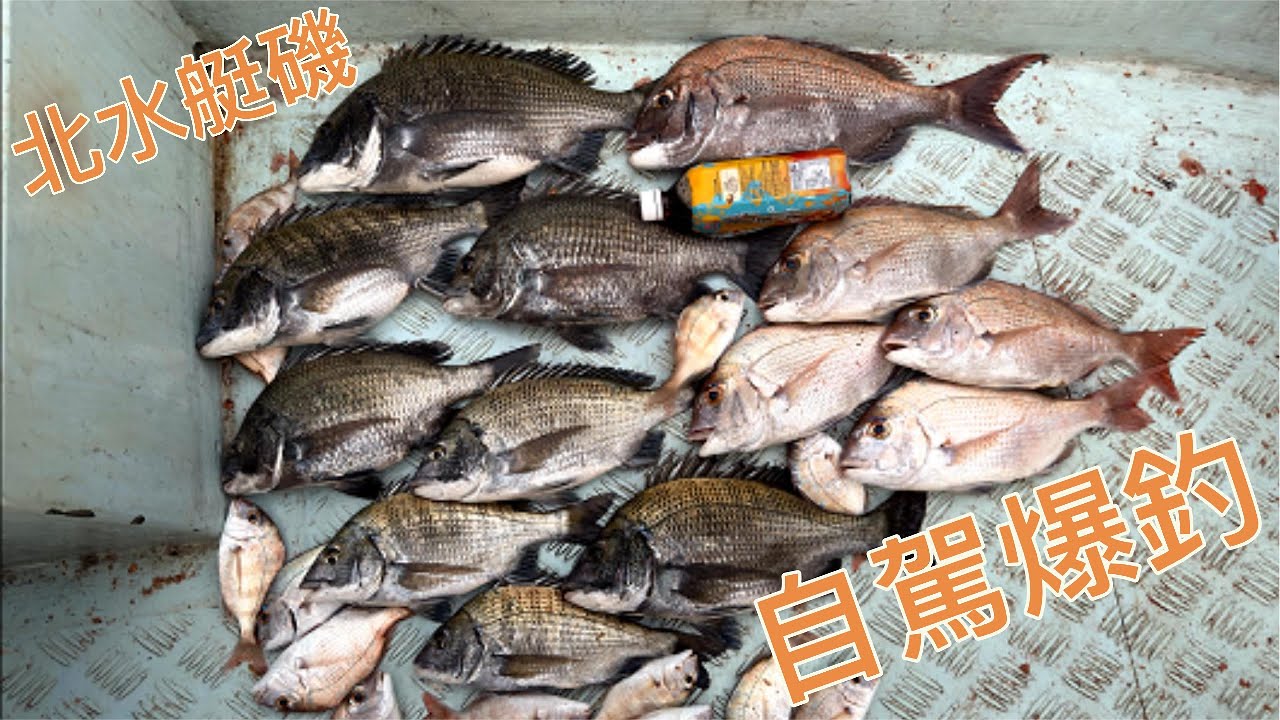 [試作品]05 北水艇磯60匹自駕爆釣 #香港釣魚 #釣魚 #艇釣 #船釣 #磯釣 #艇磯 #船磯 #北水