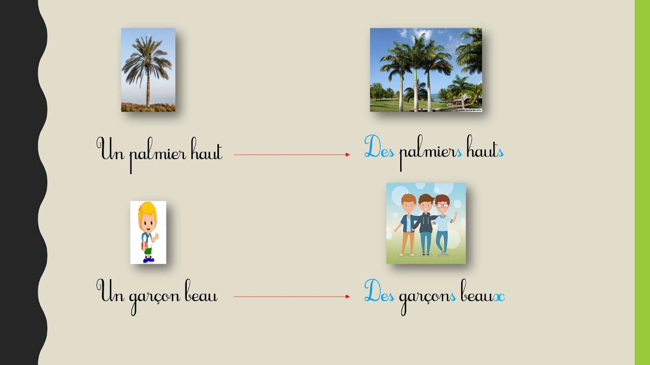 Grammaire (L'accord dans le groupe nominal: le nombre) CE1