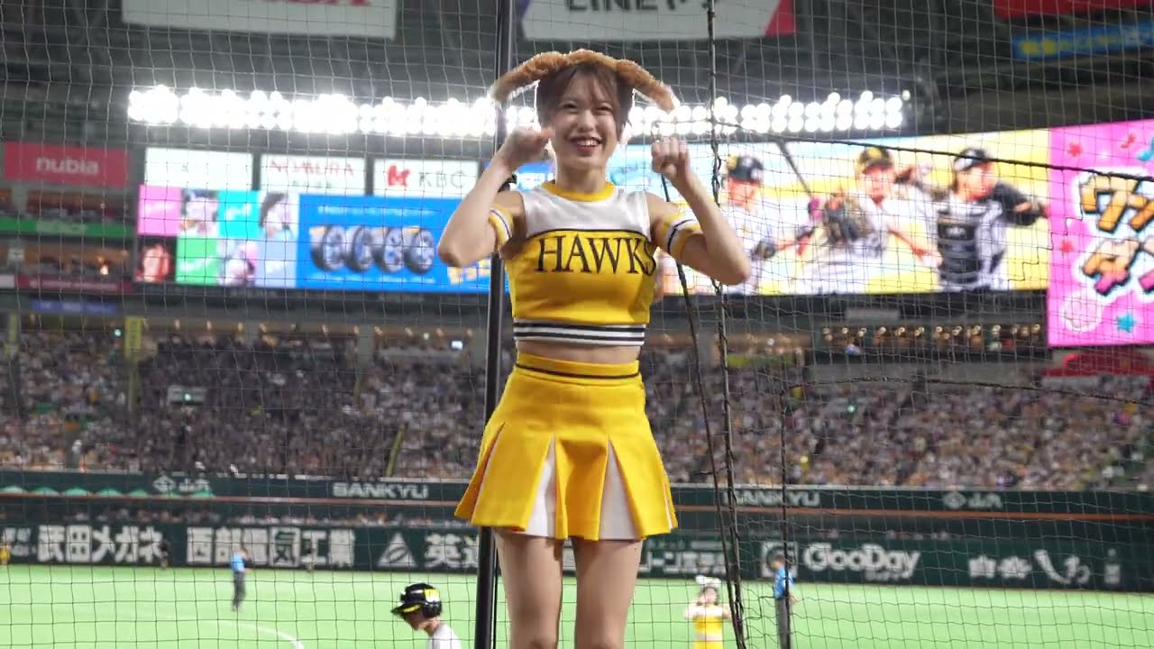 ﾎｰｸｽ ﾊﾆｰｽﾞ【 わんわんダンス　お立ち台 】2024.8.17(土) PayPayﾄﾞｰﾑ