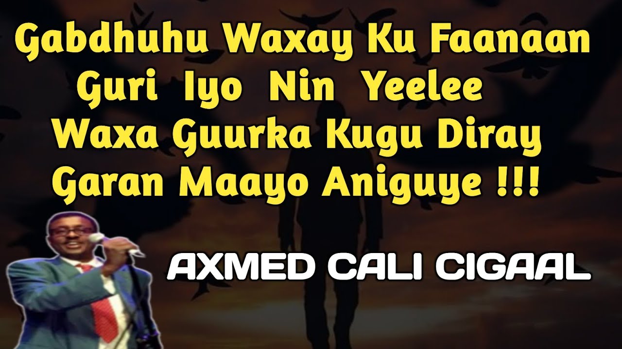 gabdhaha waxay ku faana | axmed cali cigaal gabdhaha | geedaha waxaa jira lyrics | cigaal geedaha