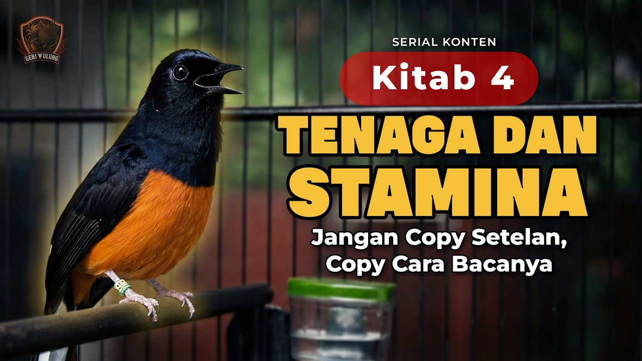 Kitab 4 - Cara Isi TENAGA & STAMINA Tanpa Bikin Burung JEBOL (Bukan Setelan Sakti!)