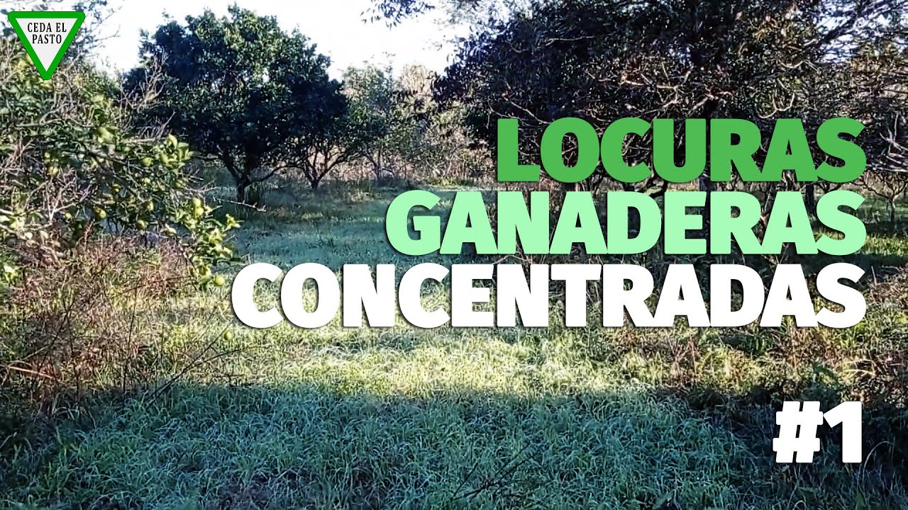 Locuras Ganaderas Concentradas: #1 Avena, Nueces, etc.