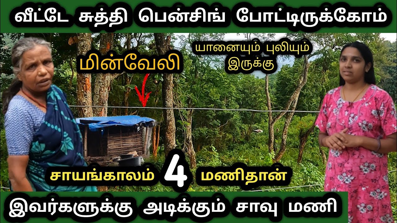 சாயங்காலம் 4 மணிக்கே வீட்டை சுத்தி மின்வேலி போட்டு வீட்டை விட்டு வெளியே வர பயப்படும் மக்கள்