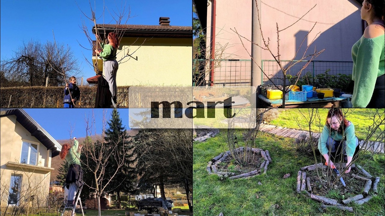 Drugi dan radova u voćnjaku; amatersko orezivanje trešanja, višanja, šljiva, jabuka, aronija...