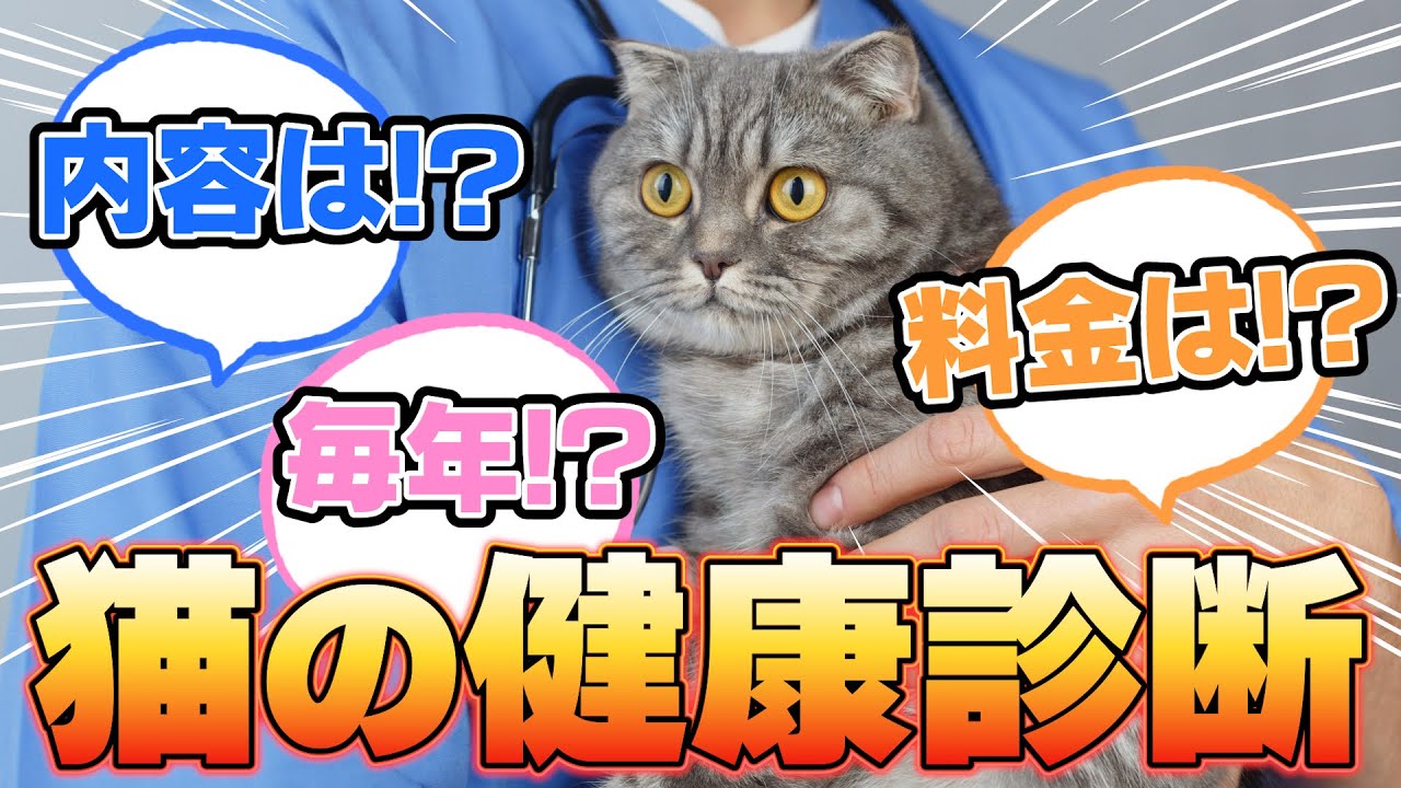 【2025年版】獣医が猫の適切な健康診断の内容を解説！！