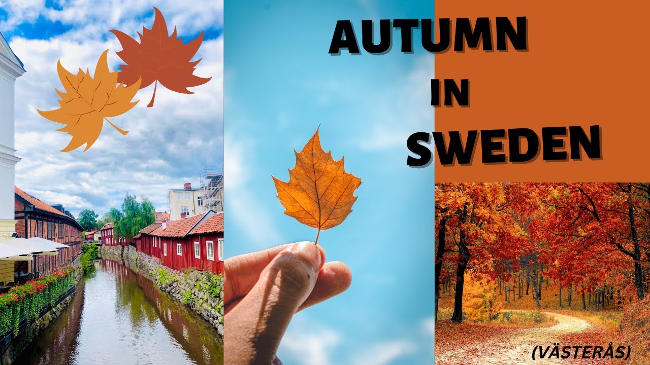 Autumn in Sweden | Early October 2022 | Season Change in Sweden