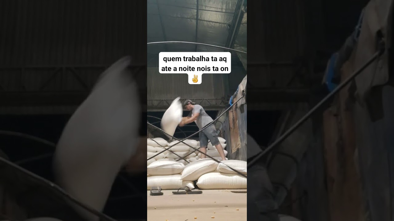 carregamento de quirela de milho