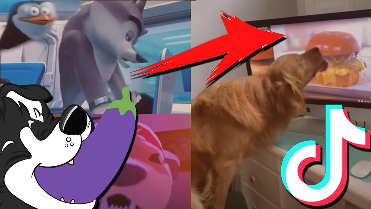Furry TikTok go Brrrrr