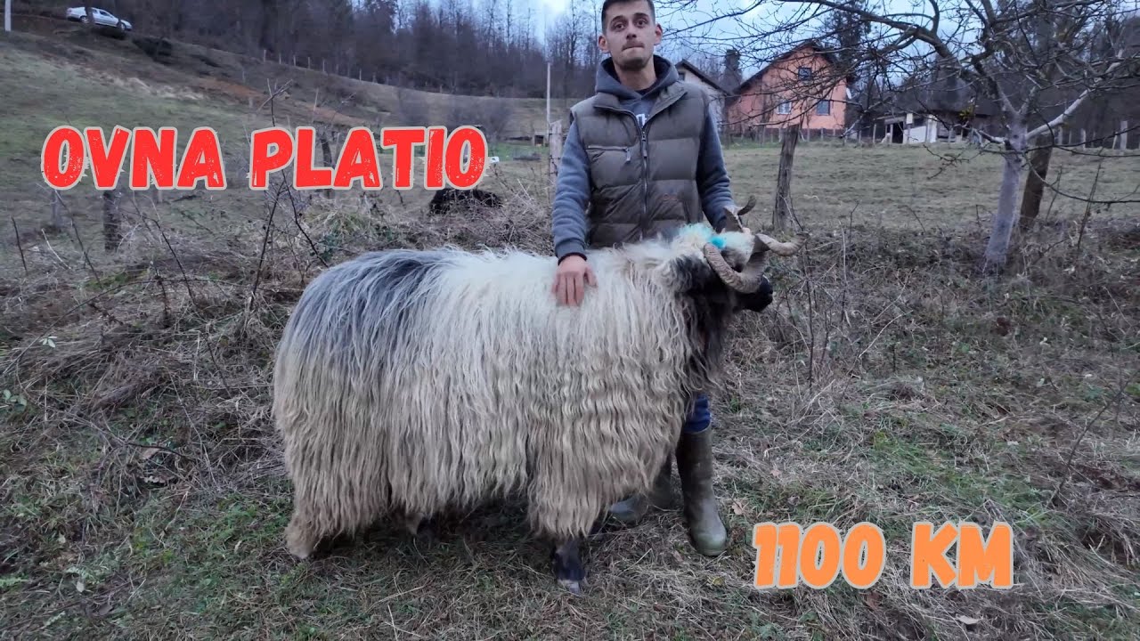 NEZABORAVAN DOŽIVLJAJ, DRUŽENJE SA MLADIM NOMADIMA
